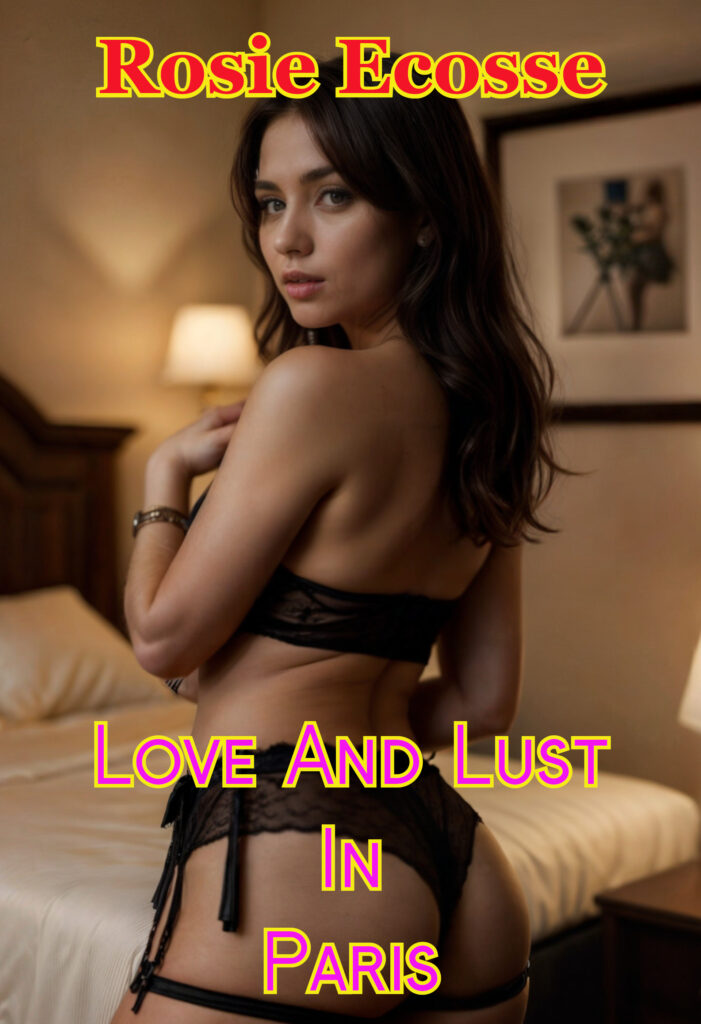 "Love and lust in Paris - banned by Amazon" Book cover